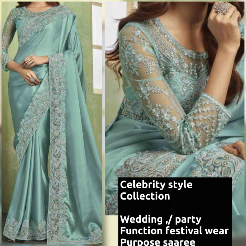 Wedding party Function wear saaree